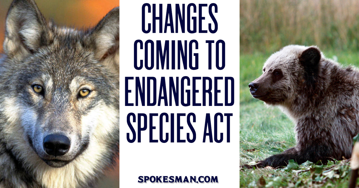 Changes Coming To The Endangered Species Act Will Impact Idaho Wildlife