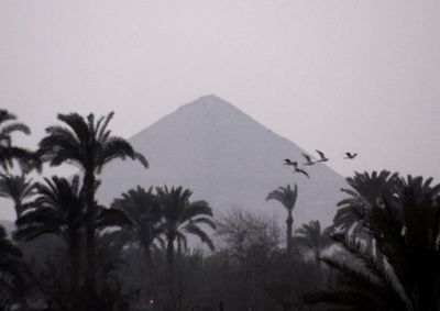 Birds fly over the 4,500-year-old “bent” pyramid, in Dahshur, Egypt. (Associated Press / The Spokesman-Review)