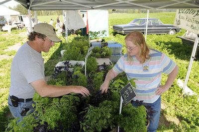 Cindy Elithorp, from Elithorp Farms in Deer Park, helps Ray Hancock select herbs for a garden Thursday at the Montfort School Farmers Market.  (Photos by COLIN MULVANY / The Spokesman-Review)