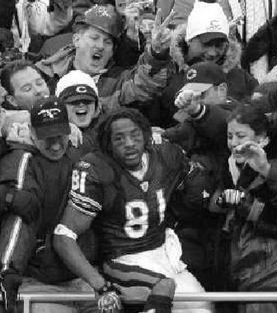 
Bears receiver Rashied Davis celebrates with fans after a playoff win over Seattle. 
 (Associated Press / The Spokesman-Review)