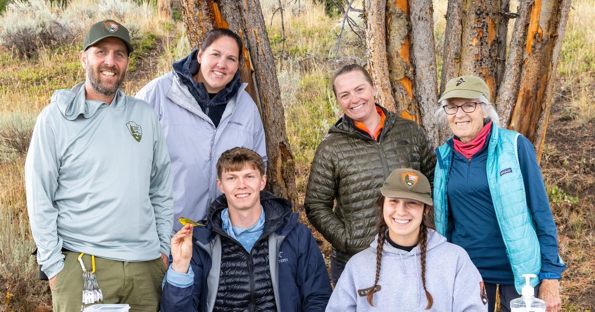 She gives a hoot: Yellowstone's Katy the owl lady uplifts bird program