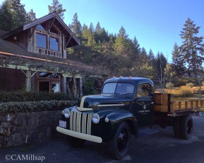  (Cheryl-Anne Millsap / photo by Cheryl-Anne Millsap)