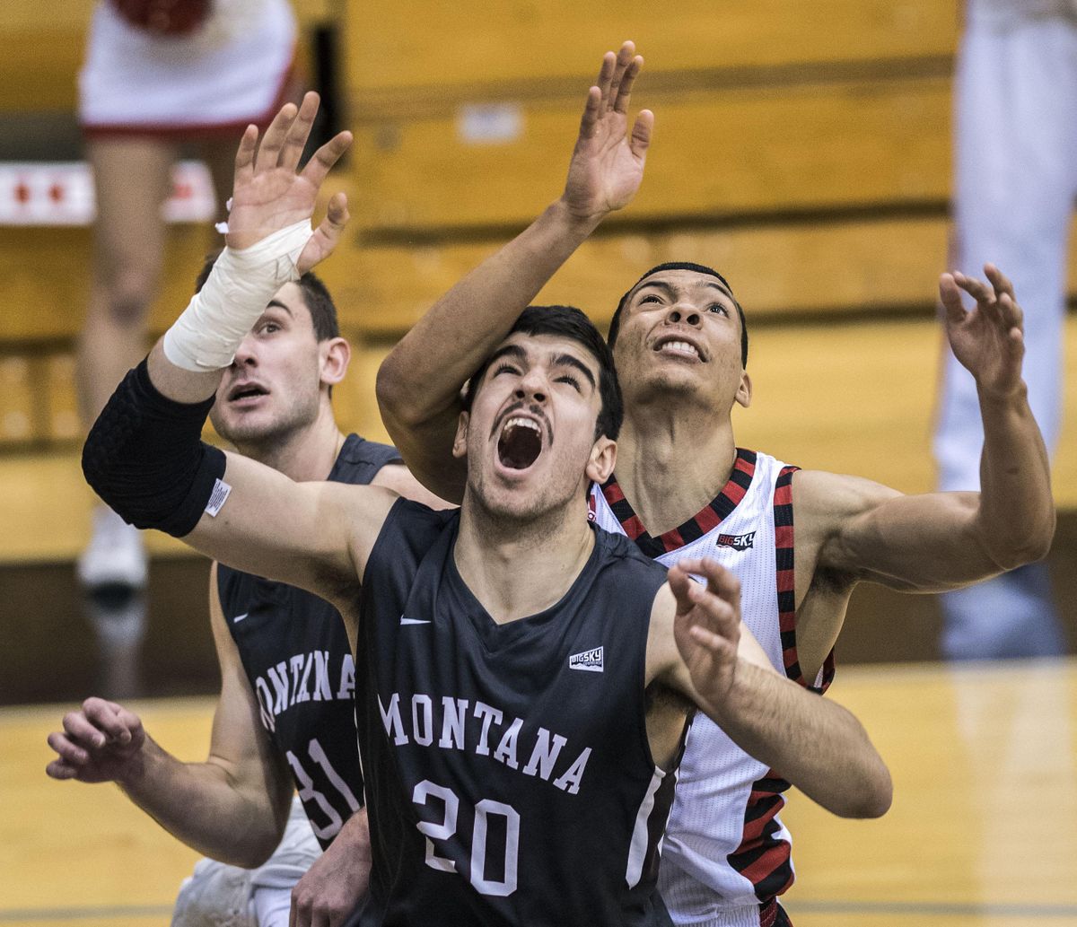 Eastern Washington forward Jacob Wiley battles Montana forward Fabijan Krslovic for a rebound, Jan. 7, 2017, in Cheney, Wash. (Dan Pelle / The Spokesman-Review)