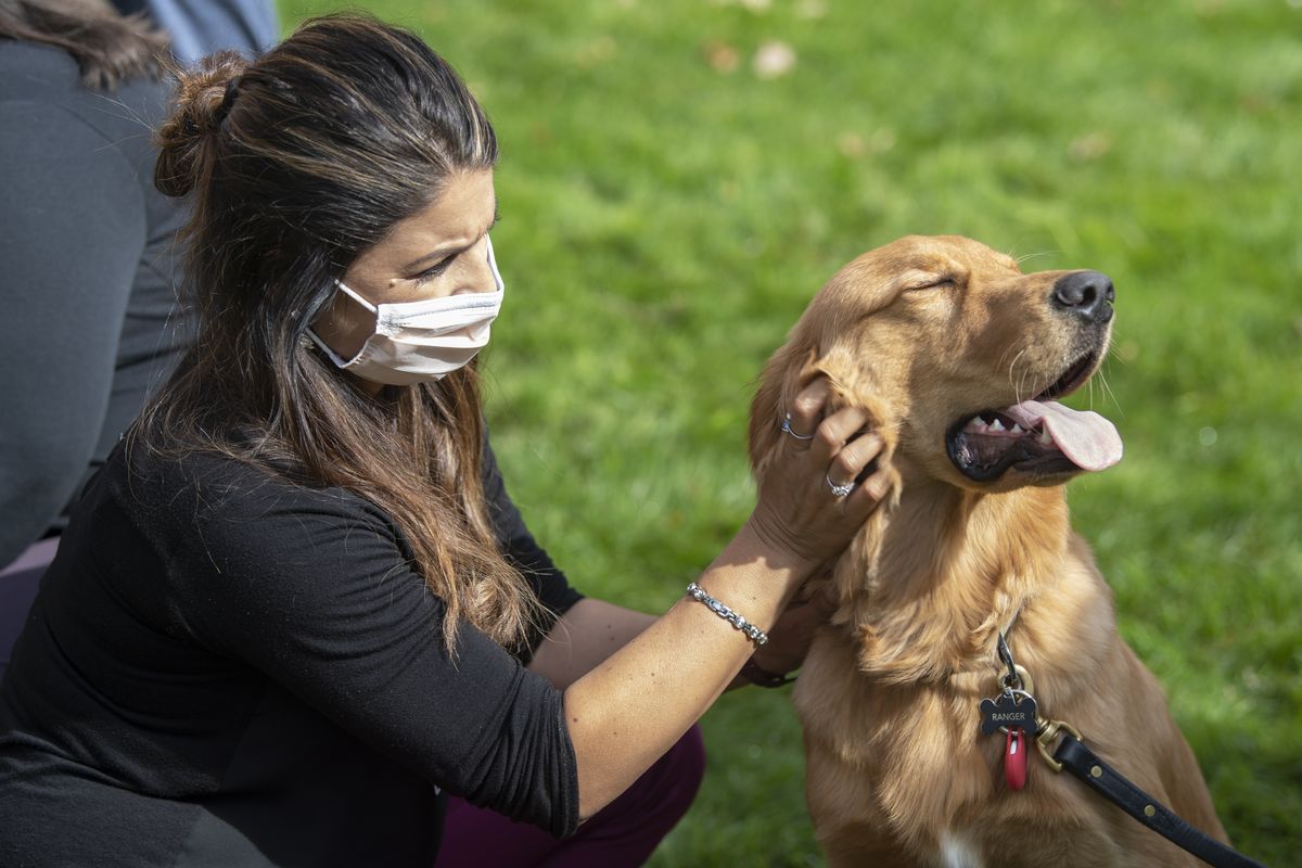 Therapy dog training for clearance hospitals