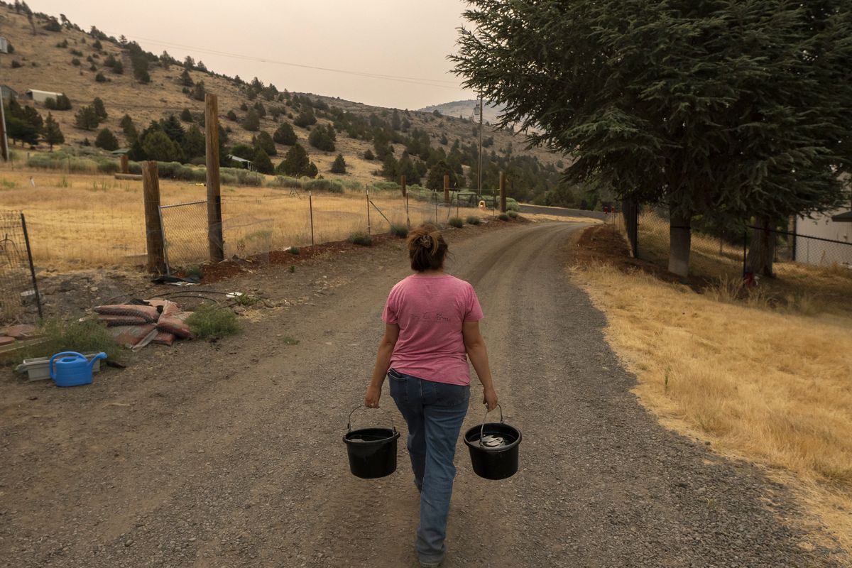 Misty Buckley carries dirty water from her animals