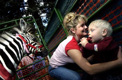 Maggie Mae, a mental health therapy zebra,  was 9 weeks old in this photo taken  in Athol   in 2006.  (FILE PHOTO / The Spokesman-Review)