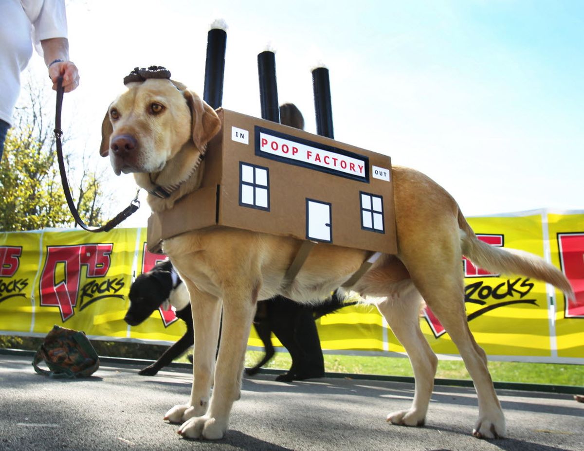 'Poop Factory' The SpokesmanReview