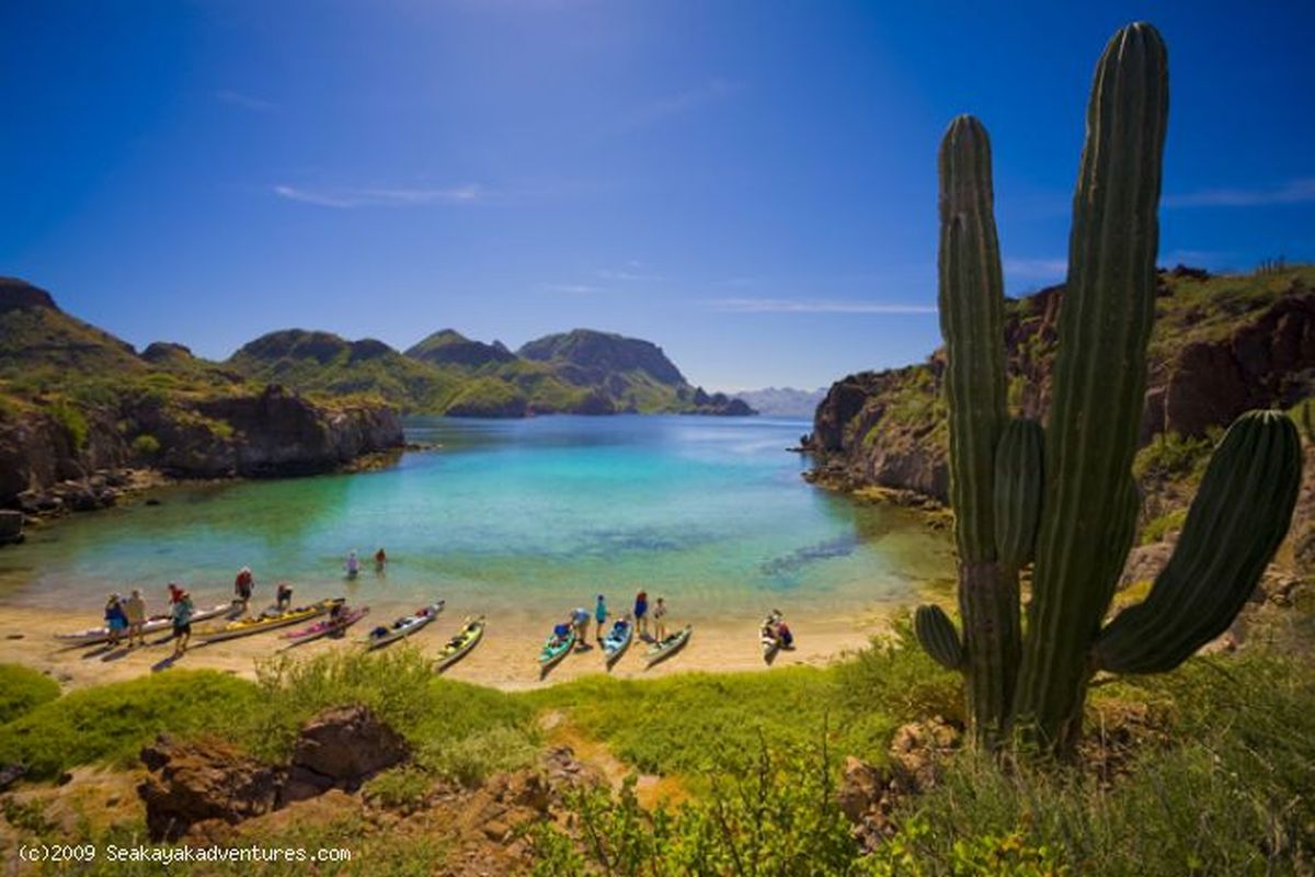Sea Kayak Adventures leads trip to the Sea of Cortez and Baja Mexico among other places. (Sea Kayak Adventures)