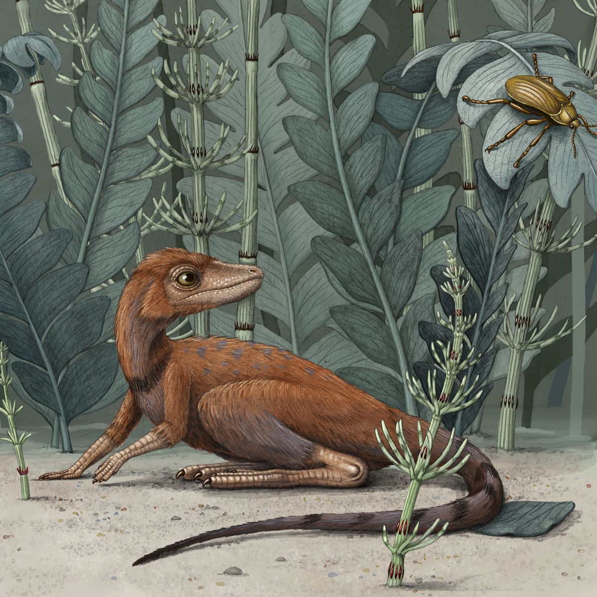 This illustration provided by Alex Boersma in July 2020 depicts a Kongonaphon kely, a tiny relative of dinosaurs and pterosaurs. Kongonaphon lived roughly 237 million years ago and would have stood only 4 inches tall.  (Alex Boersma)