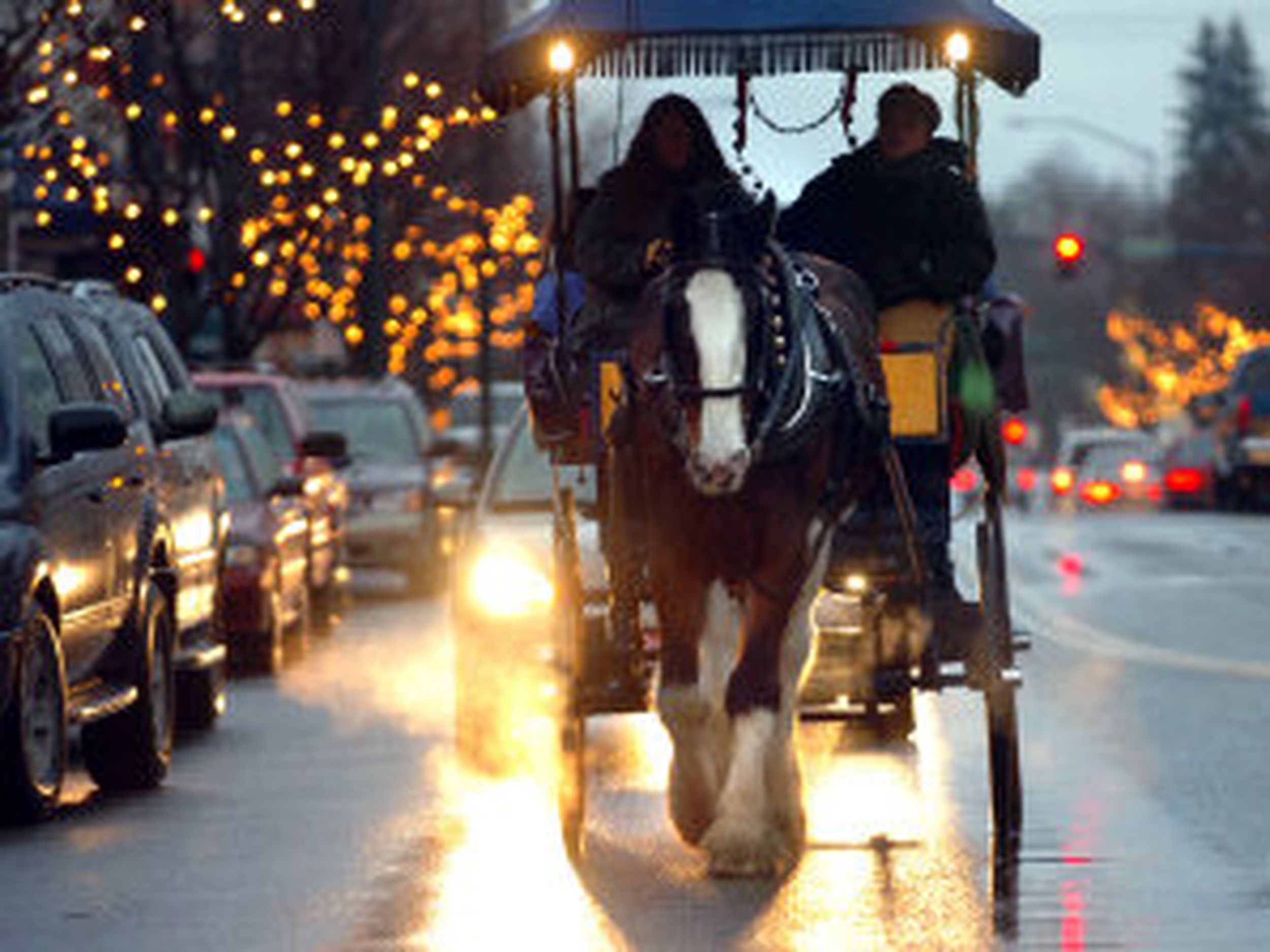 The last horse-drawn carriage in Seattle