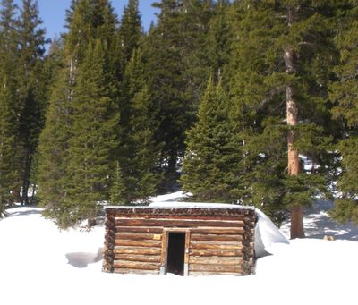 This photo provided by the U. S. Forest Service shows the cabin where as many as six cows that froze to death remain. (Associated Press)