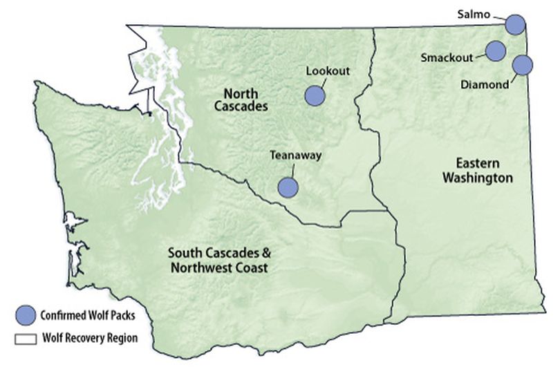 Documented wolf packs in Washington at the end of 2011. (Washington Fish and Wildlife Department)