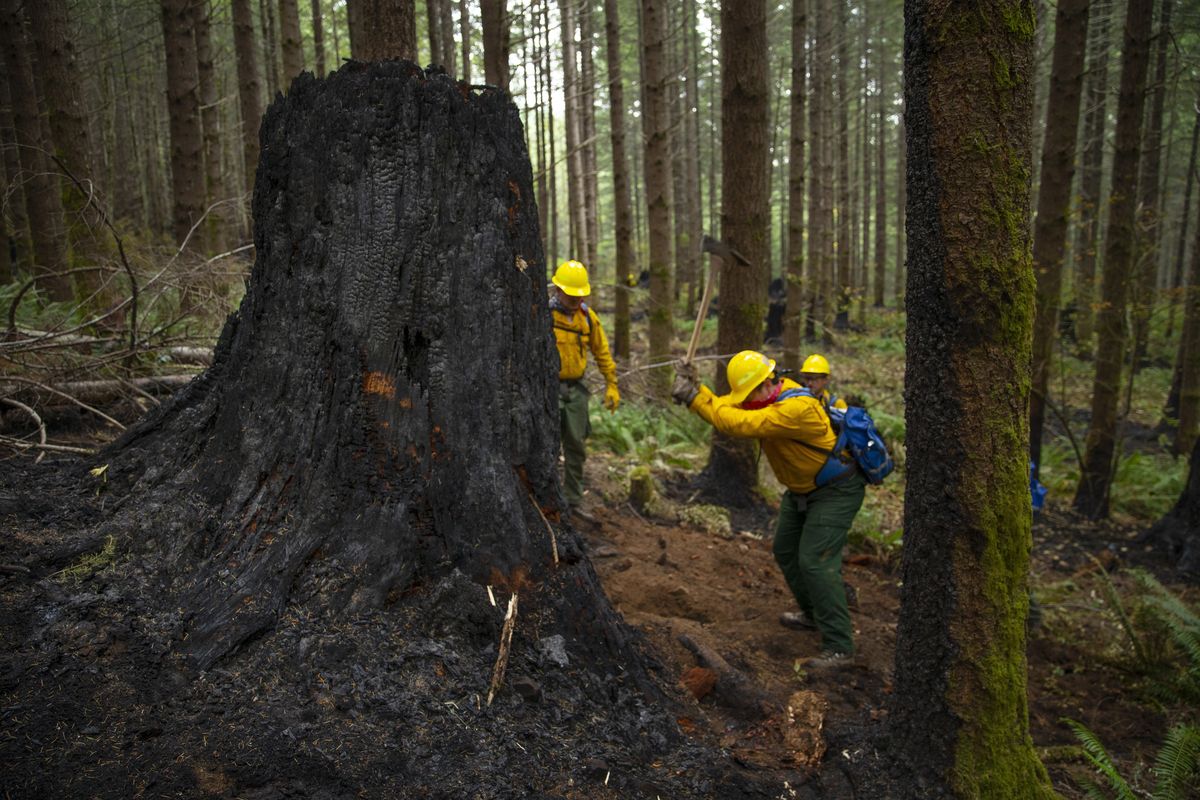 A fire crew from the Oregon Air National Guard works to dig out hot spots on the fire lines of the Holiday Farm Fire, east of Springfield, Ore., Monday Sept. 21, 2020.  (Chris Pietsch)
