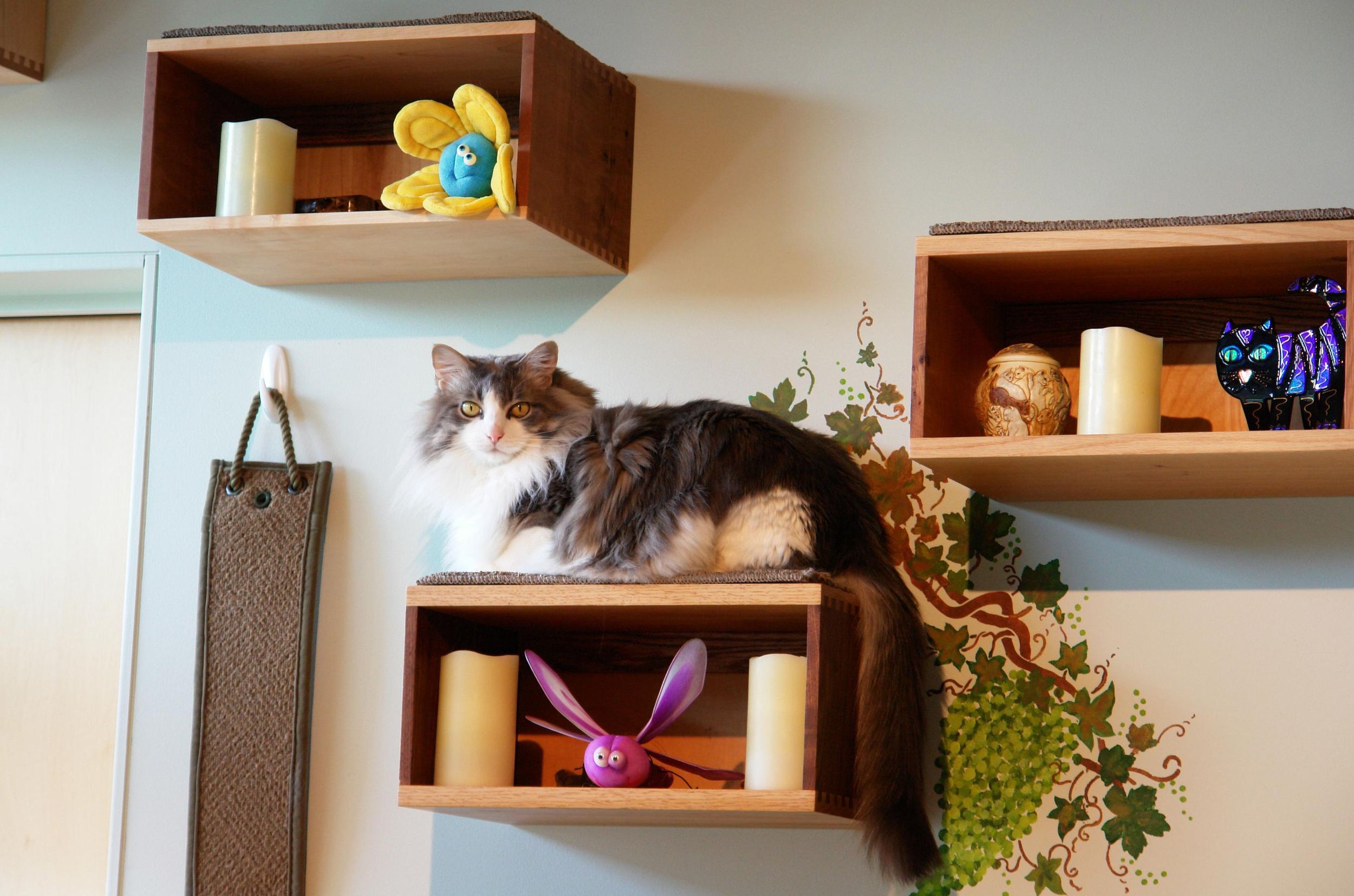 Catify To Satisfy Home Enhancement Tips For Cat Owners The Spokesman