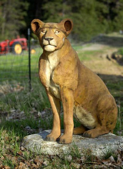 
A painted bronze lioness stands sentry at the entrance to sculptor Bill Sanders' farmhouse. Sanders says his pride of bronze lion sculptures are his favorite pieces he's done.
 (The Spokesman-Review)