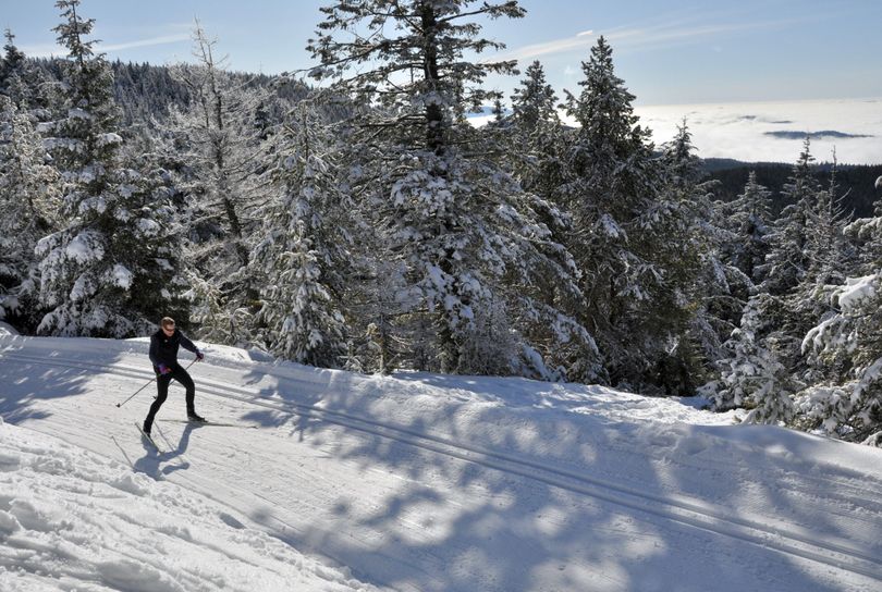 Sun & snow: While Spokane has been mostly smothered in low clouds and fog for more than a week, skiers at Mount Spokane have been above it all on most days. This skate skier was basking in sunshine last Sunday. The cross-country trails and parking area will be busy today for the annual Langlauf 10K citizens race, starting at 11 a.m. (Rich Landers)