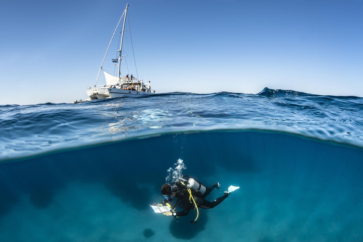 Counting fish off the coast of the island of Corsica. MUST CREDIT: Photo for The Washington Post by Greg Lecoeur.  (Greg Lecoeur/For The Washington Post)