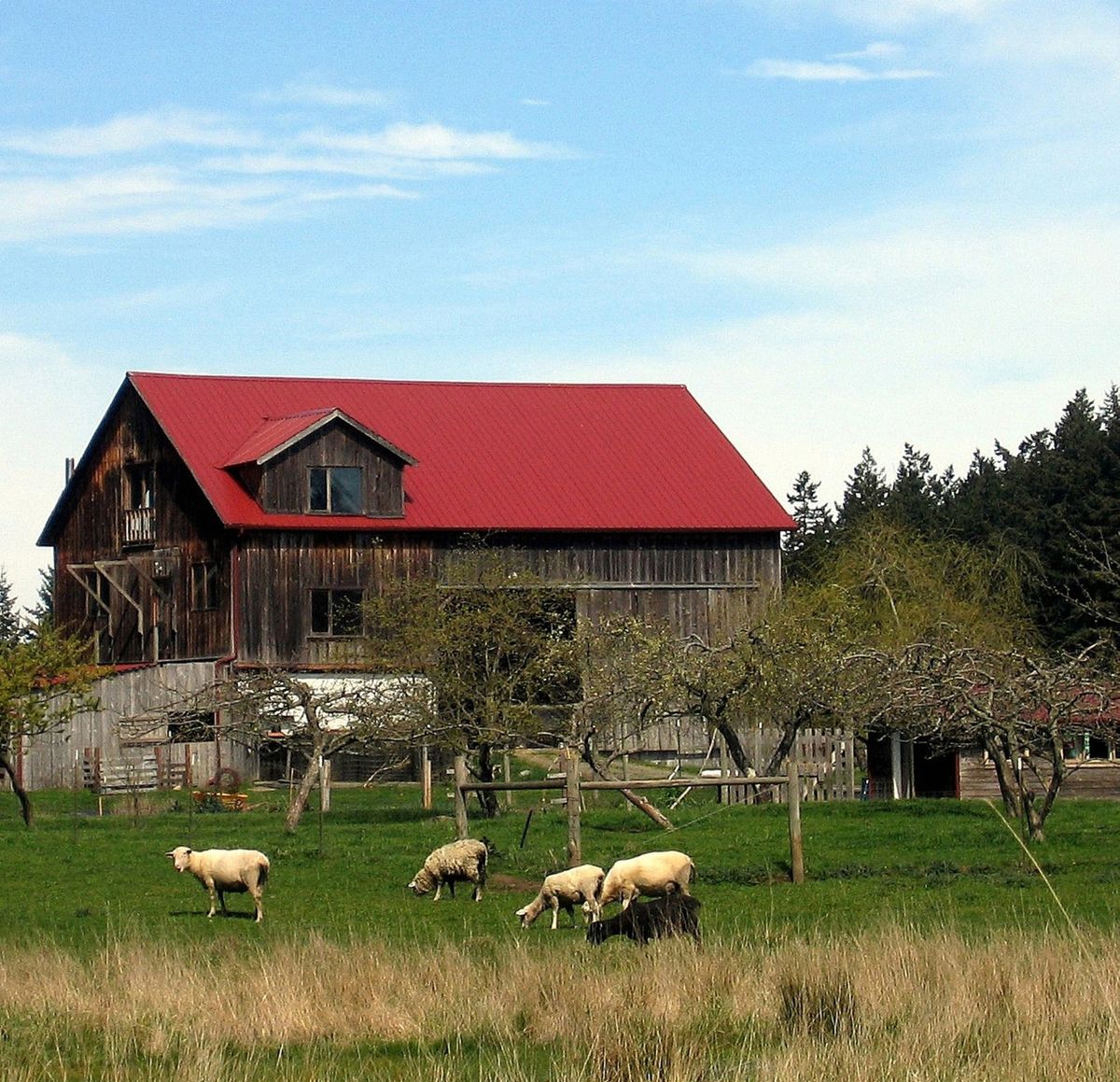 Lopez Island includes acres of farmland and, being the flattest of the islands, is the best for biking. (Hopkins Hopkins / The Spokesman-Review)