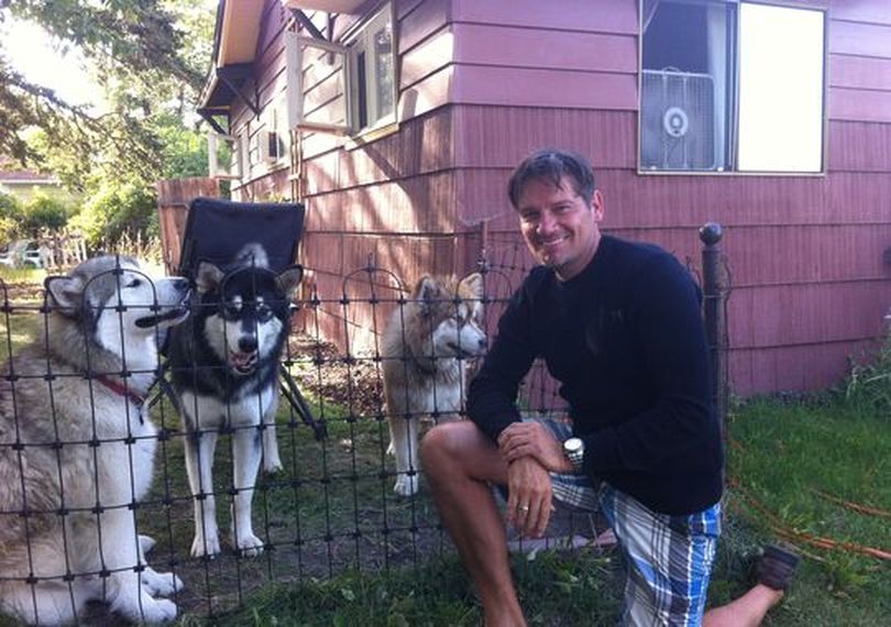 Before the shooting, Layne Spence posed for a photo with his malamutes, Rex, Frank and Little Dave. Little Dave, on the right, was shot and killed on Nov. 17 near the popular winter recreation area of Lookout Pass by a hunter who mistook the dog for a wolf. (courtesy)