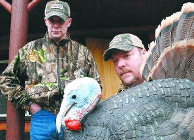 
Spokane turkey hunter Dave Murphy displays his secret weapon – a gobbler decoy fitted with tail feathers from a real turkey – before setting out last weekend as a guide for Ryan Elkins, a disabled Marine from Spokane Valley who was injured by a bomb in Iraq. 
 (Rich Landers / The Spokesman-Review)