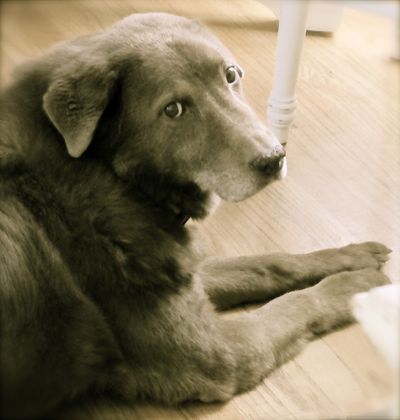 (Cheryl-Anne Millsap / Photo by Cheryl-Anne Millsap)