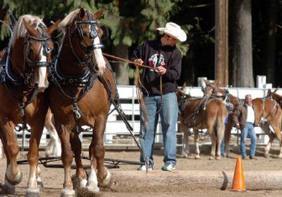 
Brandon Moore, 18, drives his team of Belgian draft horses named Kate and Jake, to maneuver two logs around a series of cones in the log skidding contest Friday morning at the Idaho State Draft Horse and Mule International at the Bonner County Fairgrounds near Sandpoint. Moore, of Potlatch, Idaho, won the junior log skidding division. 
 (Jesse Tinsley / The Spokesman-Review)