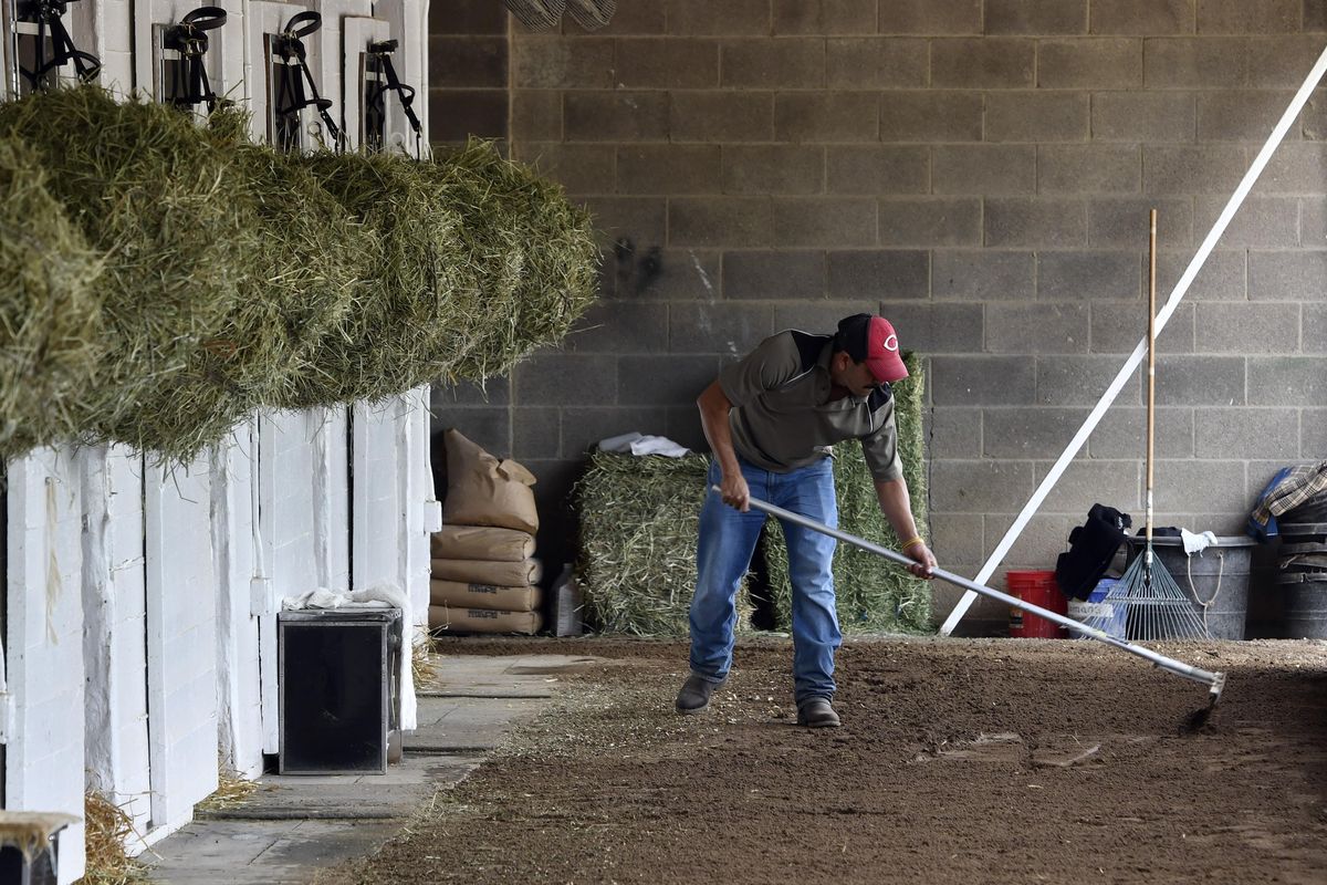 Barn worker Jose Cesada, an immigrant worker in the United States on an H-2B visa, rakes the cool down path at the barn of trainer Dale Romans on the backside at Churchill Downs, Wednesday, April 19, 2017, in Louisville, Ky. (Timothy D. Easley / Associated Press)