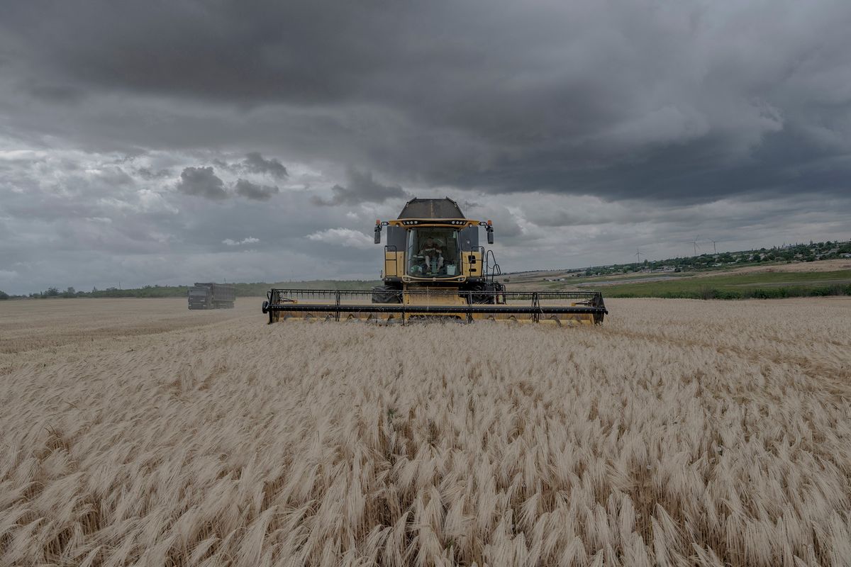 FILE -- Farming machinery in a barley field in the Mykolaiv region, Ukraine, on June 30, 2022. Badly needed grain has been piling up in Ukrainian ports since Moscow invaded, but Russia