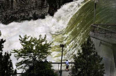 The Spokane River tumbles over Spokane Falls, creating spray and a roar that can drown out any conversation while standing at the viewing points. 
 (Christopher Anderson / The Spokesman-Review)