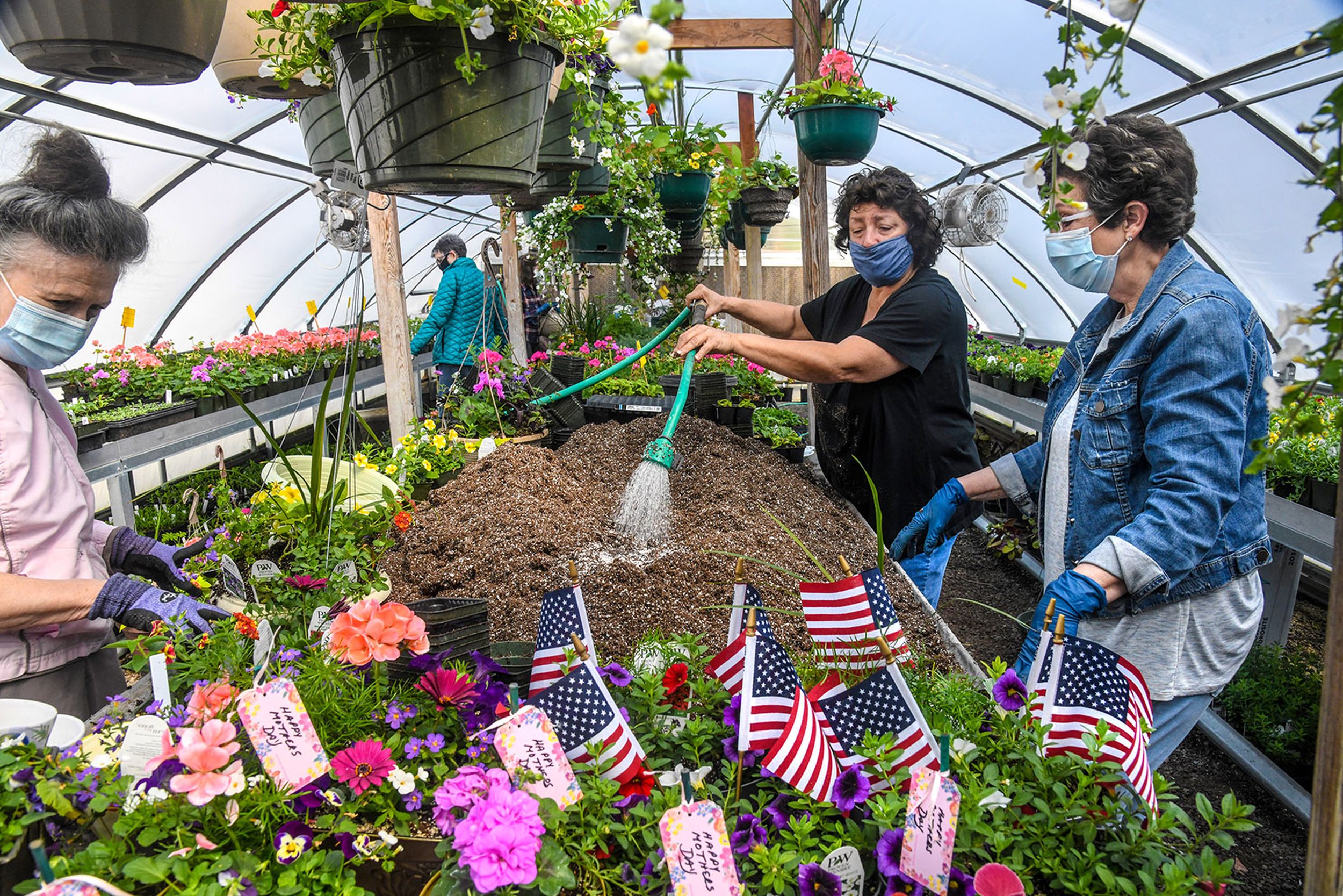 Associated Garden Clubs of Spokane prep for plant sale