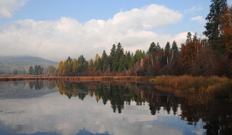 McArthur Lake is a state-protected wildlife area along Highway 95 north of Sandpoint. Forest Capital Partners has agreed to an easement that allows logging on its adjacent lands but precludes future development.  (Photo Conservanc / The Spokesman-Review)