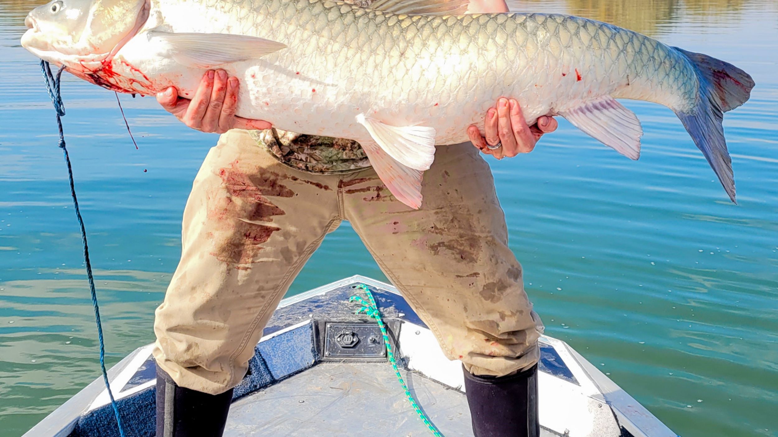 Boise-area angler smashes Idaho fishing record for grass carp with