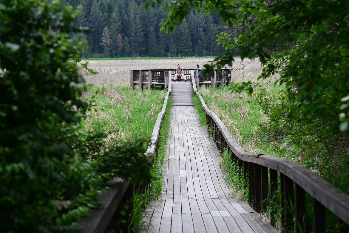 Spokane County approves upgrades for Liberty Lake Regional Park The