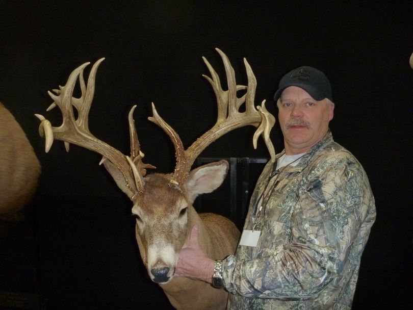 David Morris, who publishes the Record Book for Washington, poses with the Washington state record non-typical whitetail buck, which was taken in Pend Oreille County in 1931 by George Gretener of Newport, Wash. The buck's antlers score 236 5/8 Boone and Crockett points even though Gretener sawed off a 9-inch long tine that pointed toward the animal's back so it wouldn't hit the wall when hanging by the original antler-only mount. (Rich Landers)
