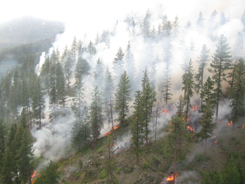 Underbrush is burned in May 2012 on the Colville National Forest near Sullivan Lake to reduce danger of major wildfires later in the year as well as to boost the forage growth for elk. (U.S. Forest Service)