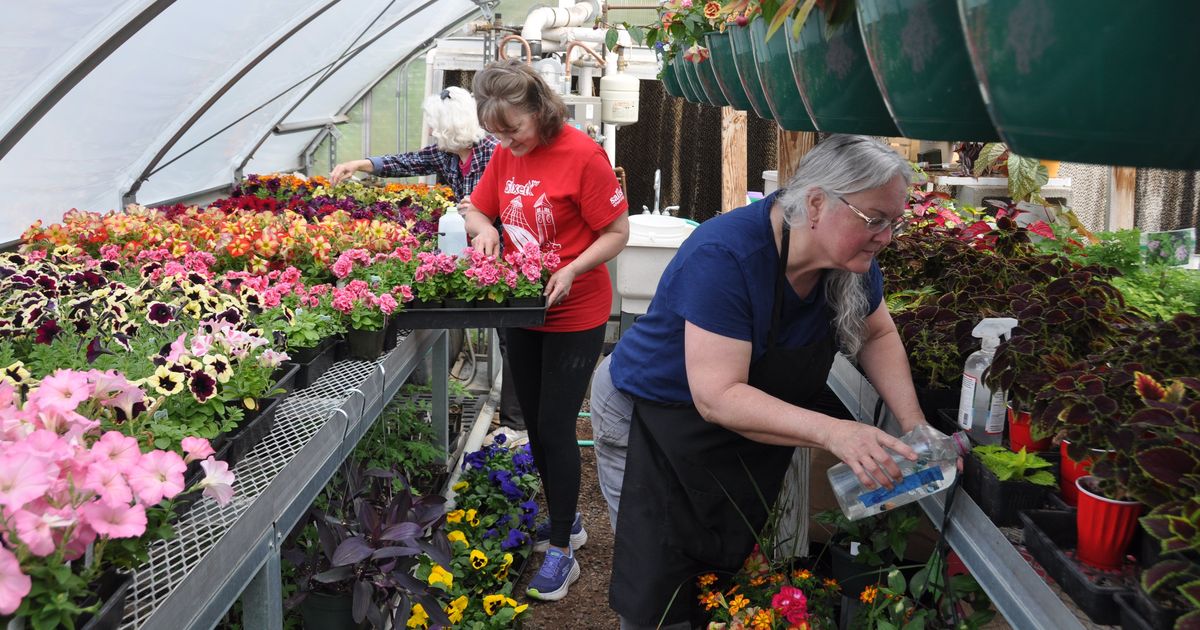 Gardening: Associated Garden Clubs specializes in annuals and hanging baskets for plant sale