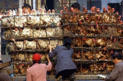 
Vendors work in a poultry wholesale market in Shanghai on Sunday. 
 (Associated Press / The Spokesman-Review)