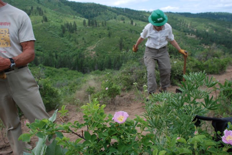 Laurie Fleming of Spokane adds muscle power to a Washington Trails Association volunteer project to improve a trail in Spokane County's Iller Creek Conservation Area. (Rich Landers)