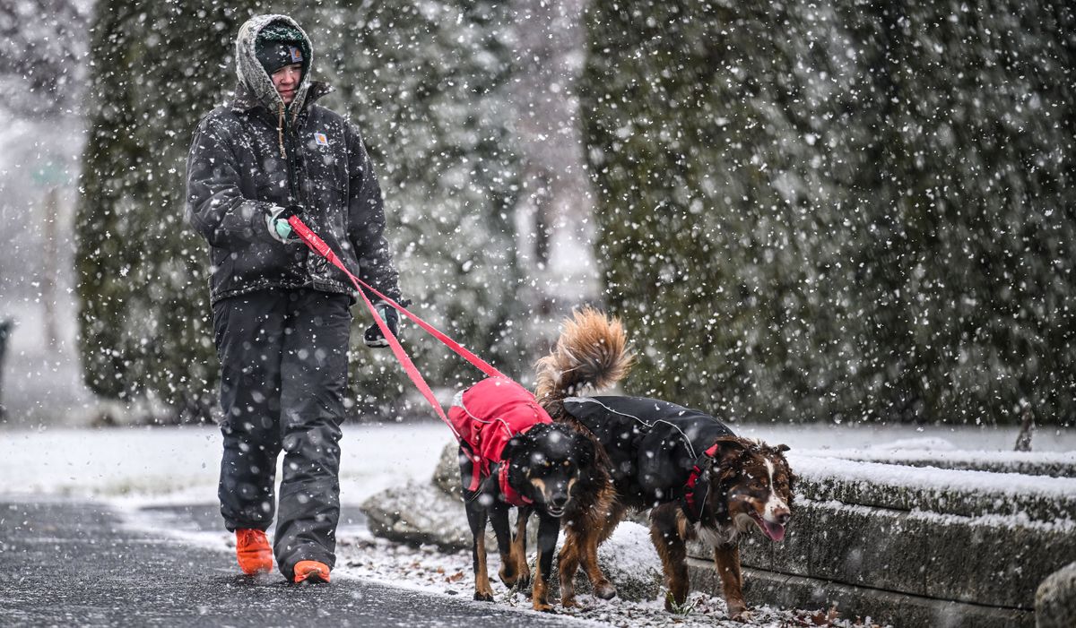 Chloe Hudson walks her dogs Diagen, left and Maya through her Post Falls neighborhood on Monday, December 16, 2024.  (Kathy Plonka/The Spokesman-Revie)