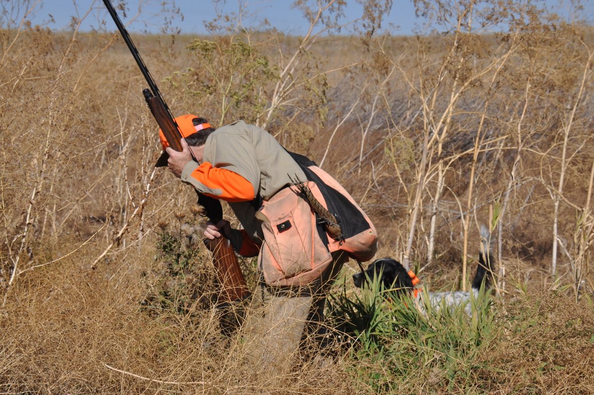 Shooting at Pheasant Valley Preserve Oct. 6, 2012 The SpokesmanReview