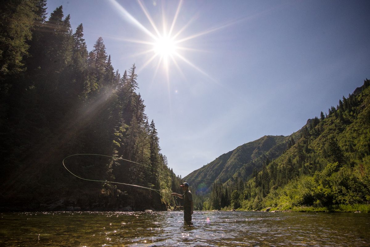 Rise early and shine: Heat brings on hopper season for fly fishers