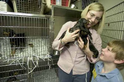 
Spokane Humane Society volunteers Rachael Peters and her son, Tobias, 6, spend time Tuesday afternoon with rescued dachshund puppies from Pend Oreille County. 
 (Colin Mulvany / The Spokesman-Review)