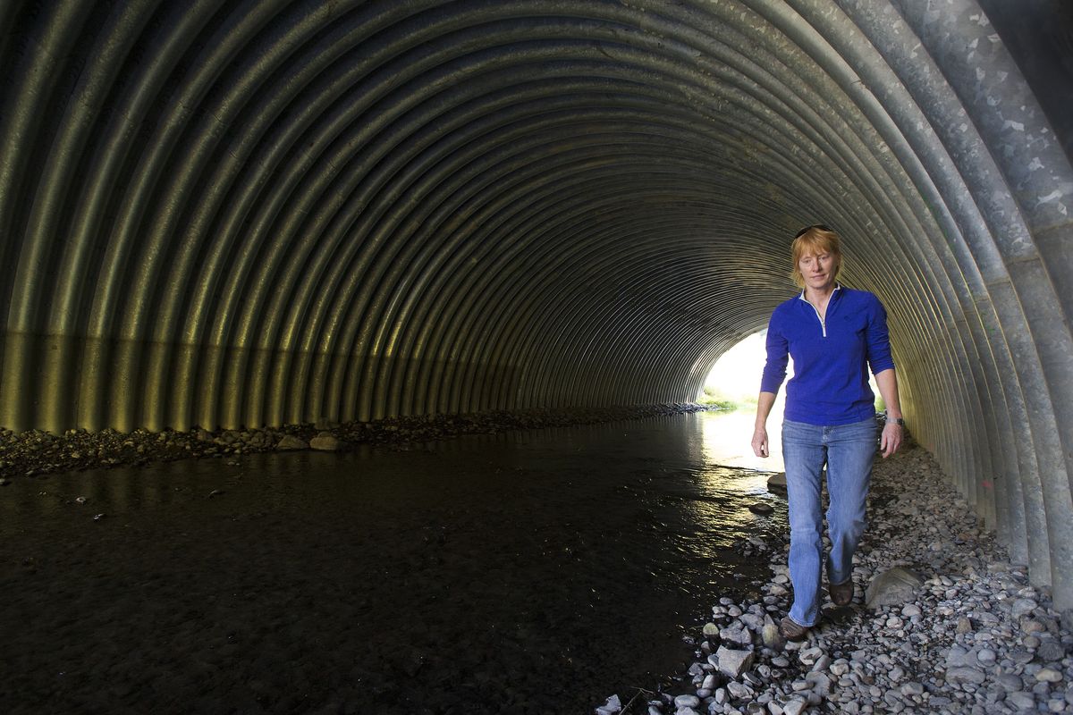 Tammie Williams, an environmental manager with the Washington state Department of Transportation in Spokane, walks through the recently constructed Peone Creek wildlife underpass. The passageway has pared animal deaths on U.S. Highway 2. (Colin Mulvany)