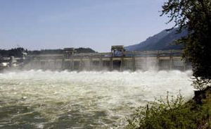 
Water rushes through spillway gates at Bonneville Dam near Cascade Locks, Ore., Monday. The Bush administration today issued its final court-ordered plans for making Columbia Basin hydroelectric dams and irrigation projects safe for endangered salmon. Associated Press
 (Associated Press / The Spokesman-Review)