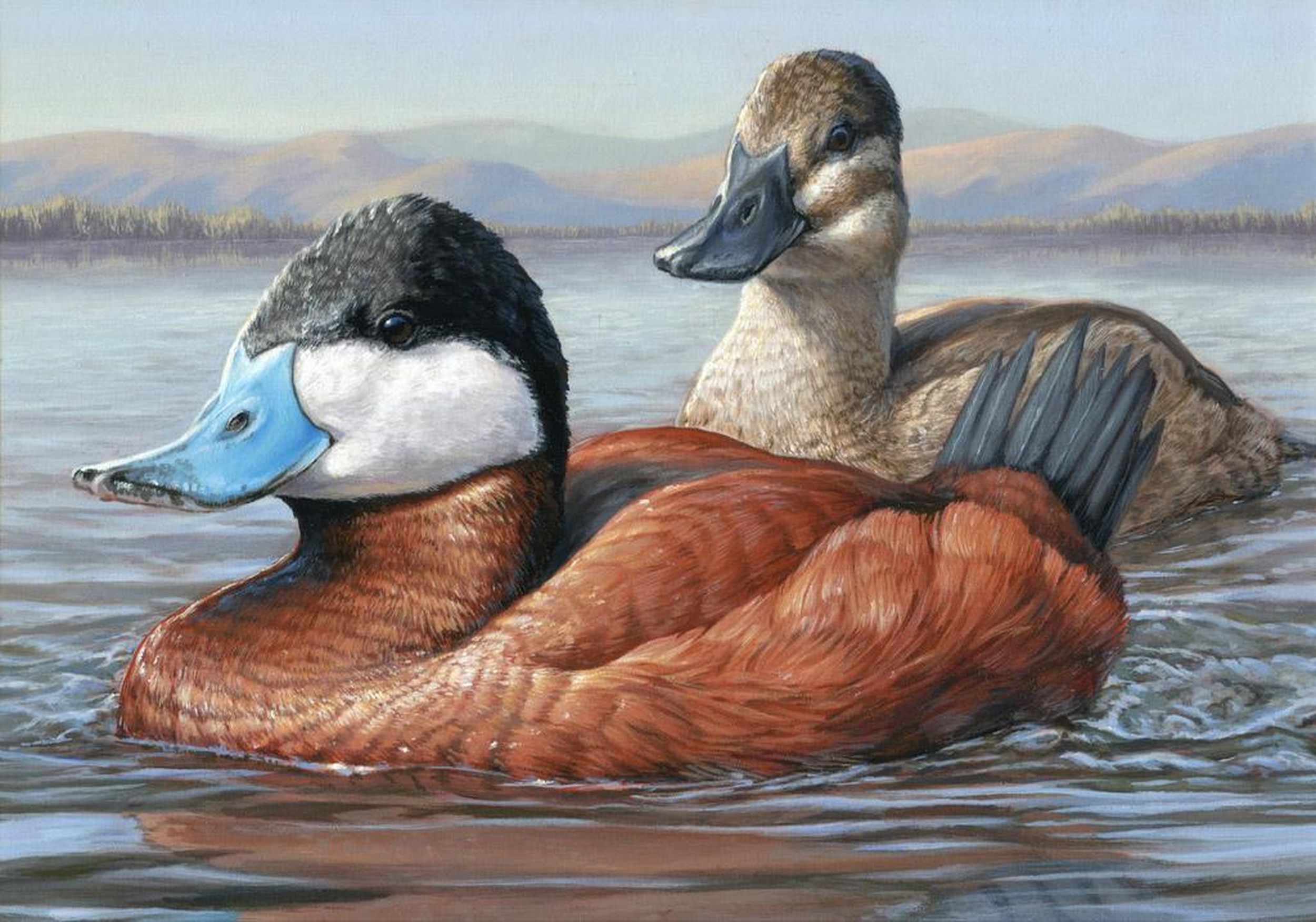 Hunters didn’t flinch at 67 percent increase in duck stamp price The
