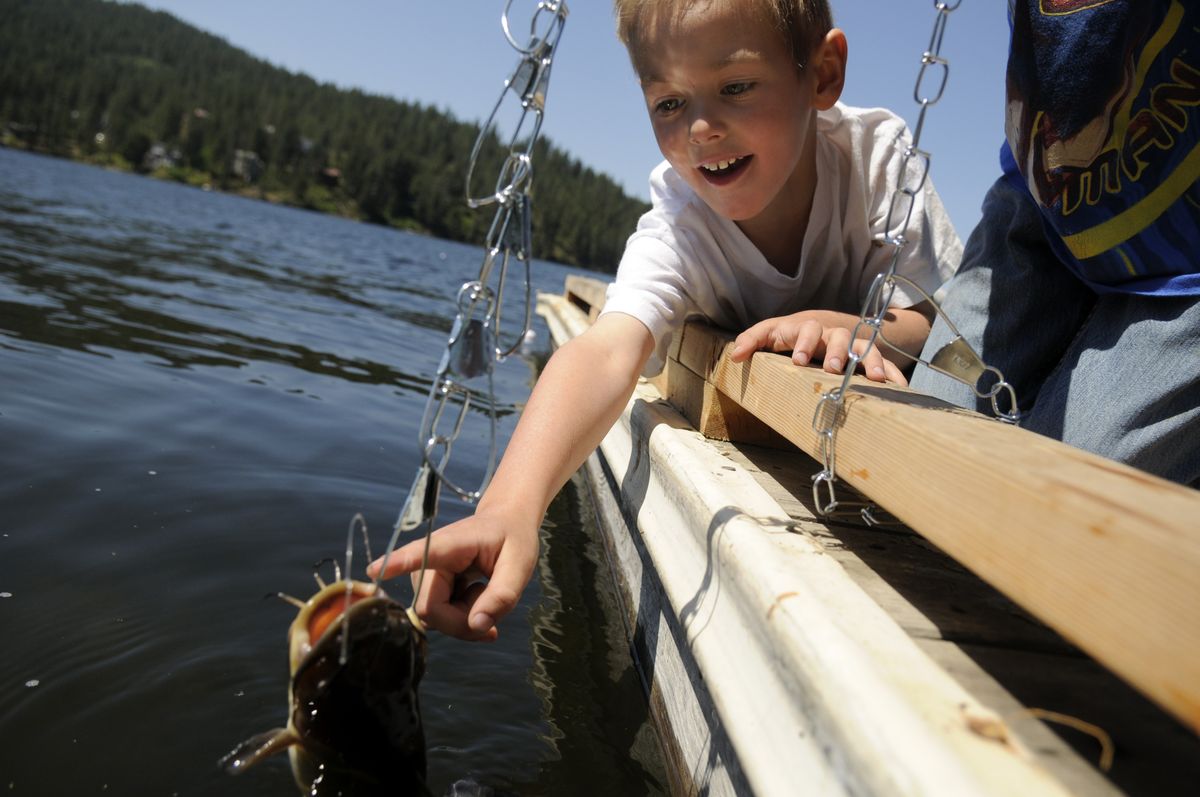 Ryan Kohr, 4, tries to touch a catfish on a stringer held by his brother Jack, 7, while fishing with their family from the dock at Liberty Lake on Friday.  (Jesse Tinsley / The Spokesman-Review)