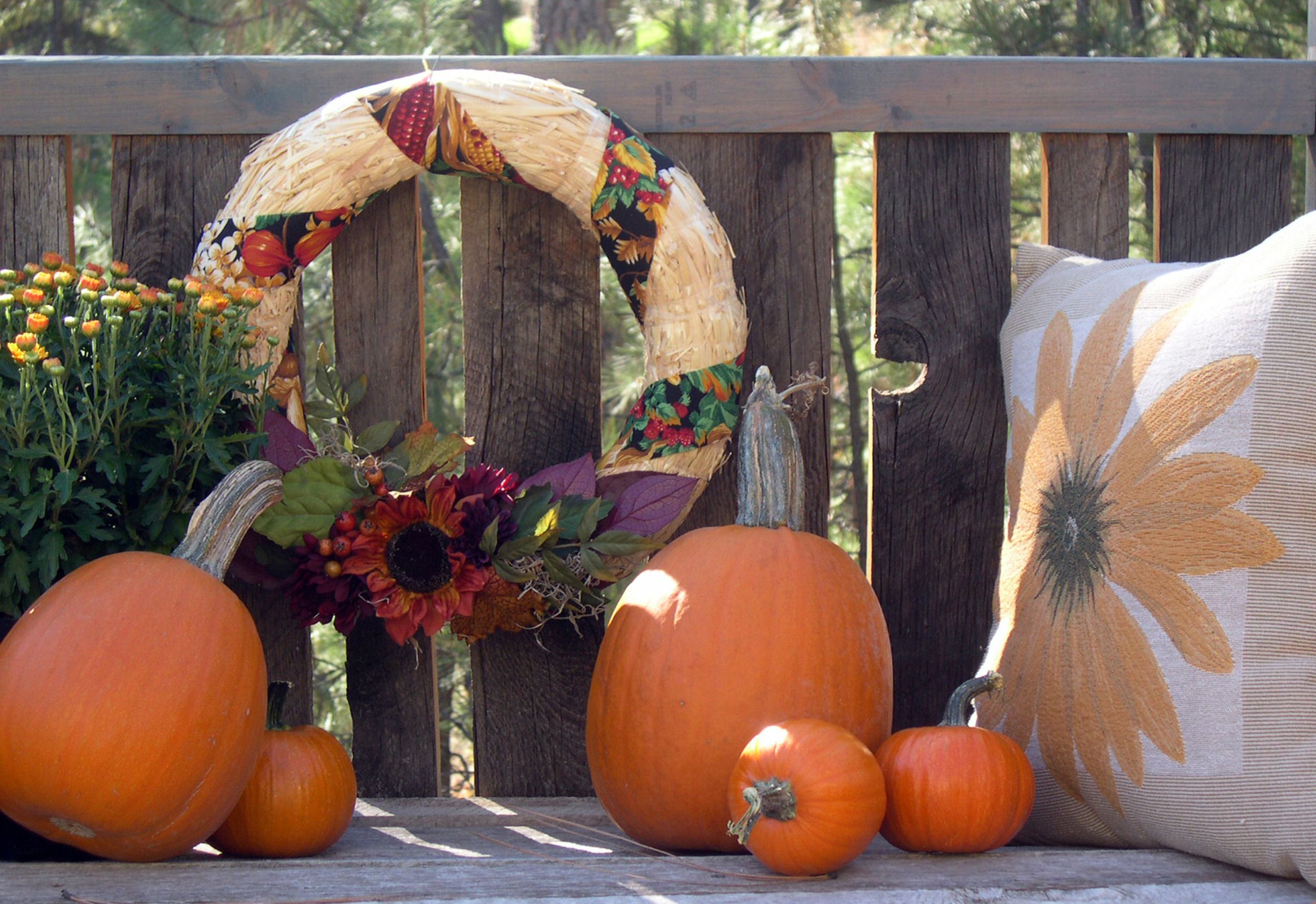 Details about   FALL AUTUMN Window Clings HORN OF PLENTY w/ GOURDS LEAVES PUMPKINS 