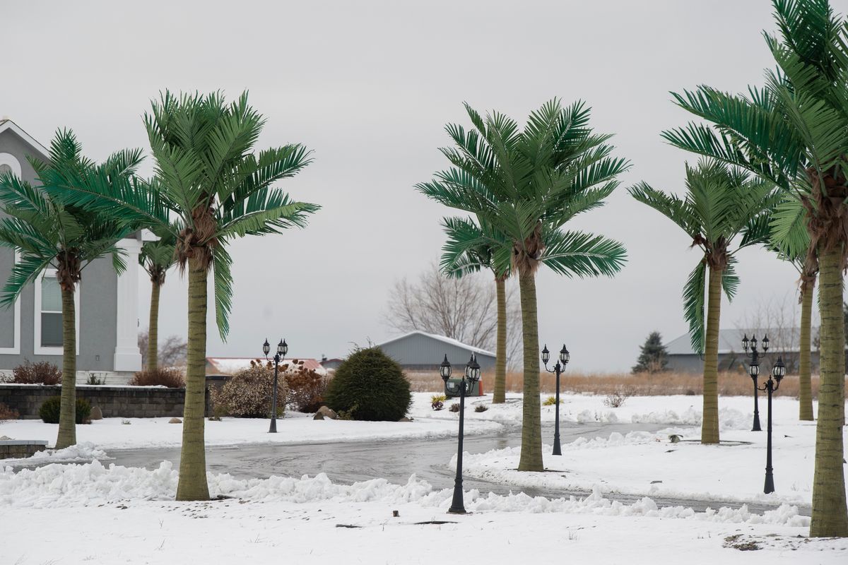 An upscale home at 11724 E. Bigelow Gulch Road has several realistic manmade palm trees around its driveway, shown Sunday, Dec. 19, 2021. (Jesse Tinsley/THE SPOKESMAN-REVIEW)