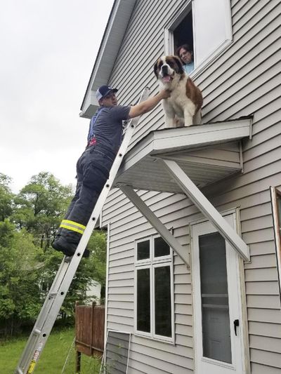 This June 8, 2018, photo provided by the Spring Lake Park-Blaine-Mounds View Fire Department, shows firefighter David O’Keeffe helping to rescue a Saint Bernard named Whiskey from a small roof above an entry door of a home in Spring Lake Park, Minn. (Anthony Scavo / AP)