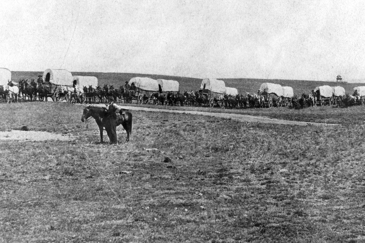 June 5, 1885: The Kleigman and Smith freighting outfit used a mule train to haul freight from Spokane to Northport, Wash. The cupola of what was Gonzaga College at the time shows just above the horizon at right.